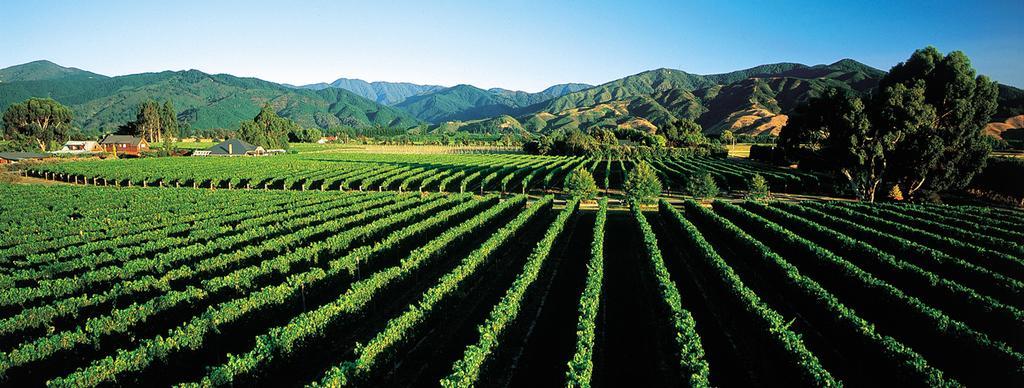 Marlborough Vintners Accommodation ブレナム エクステリア 写真