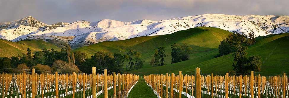 Marlborough Vintners Accommodation ブレナム エクステリア 写真